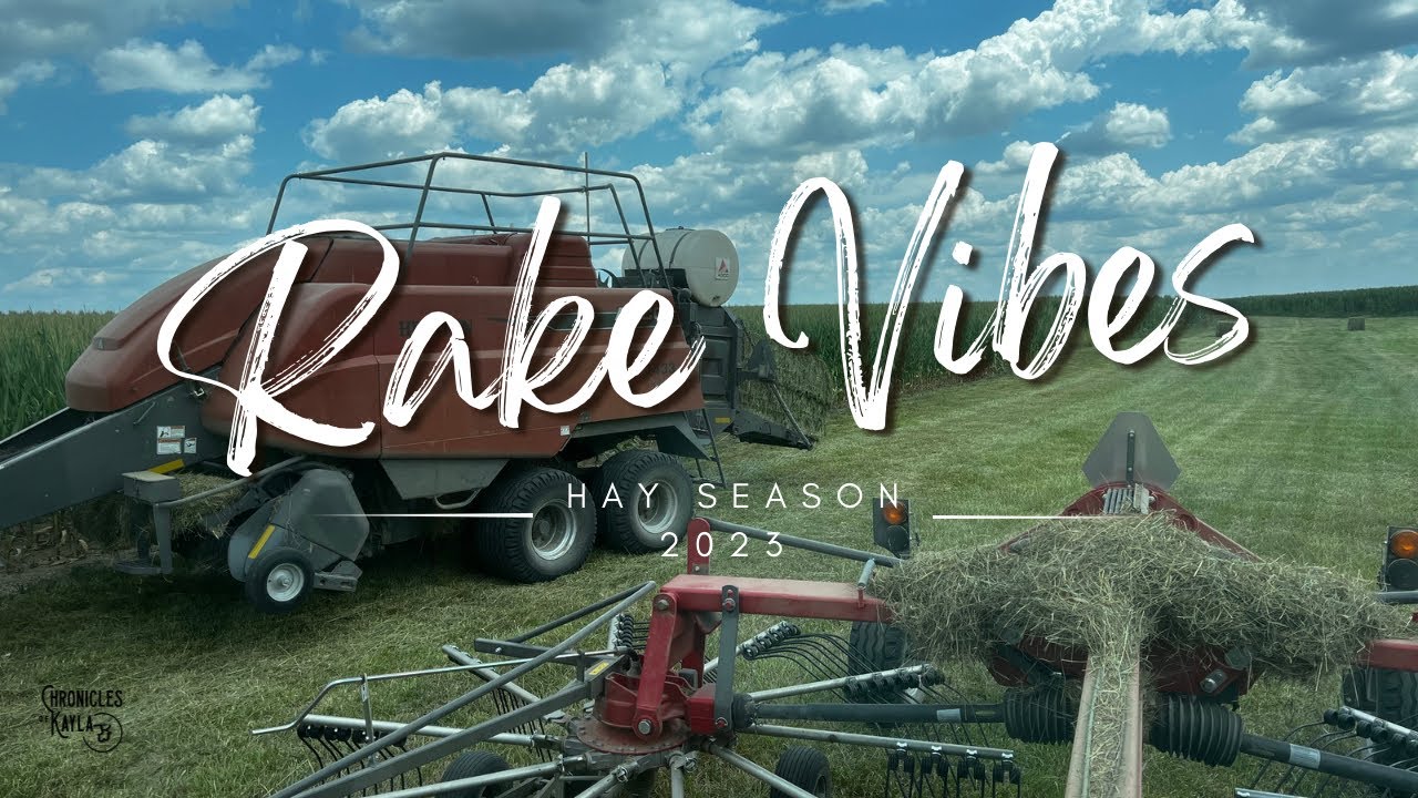 Raking Vibes ... Do I have a new #hay Job?!? Learning the MF RK 662 Rotary Rake | { A Farm Vlog }