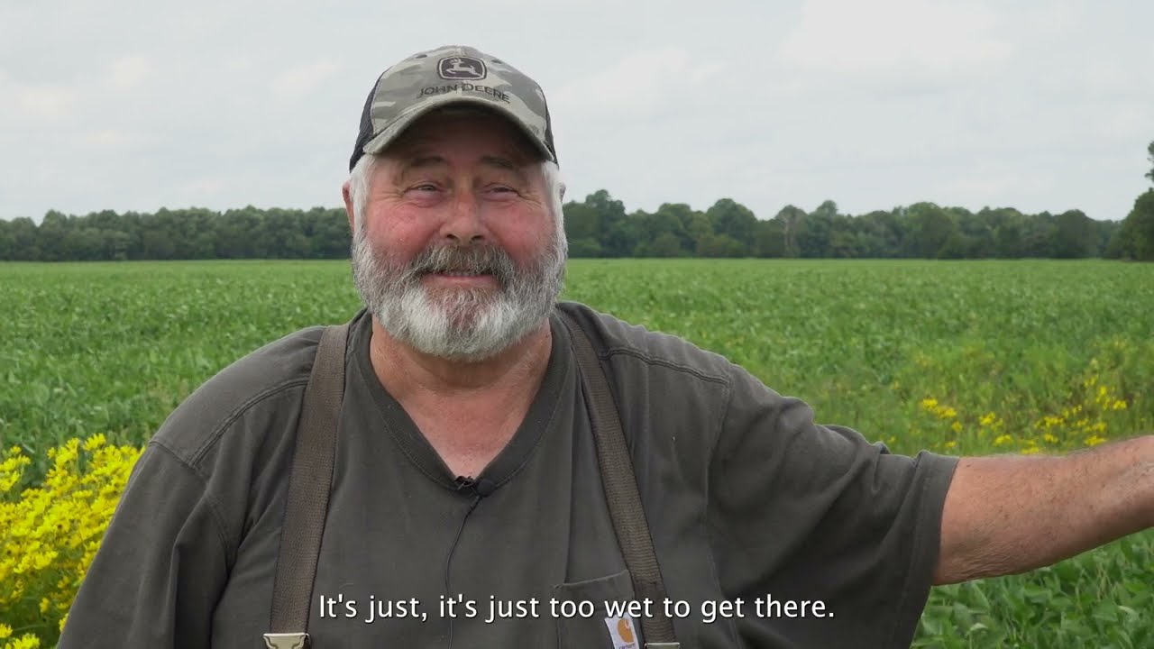 Easing the salt: A farmer's solution to salty soils and rising seas