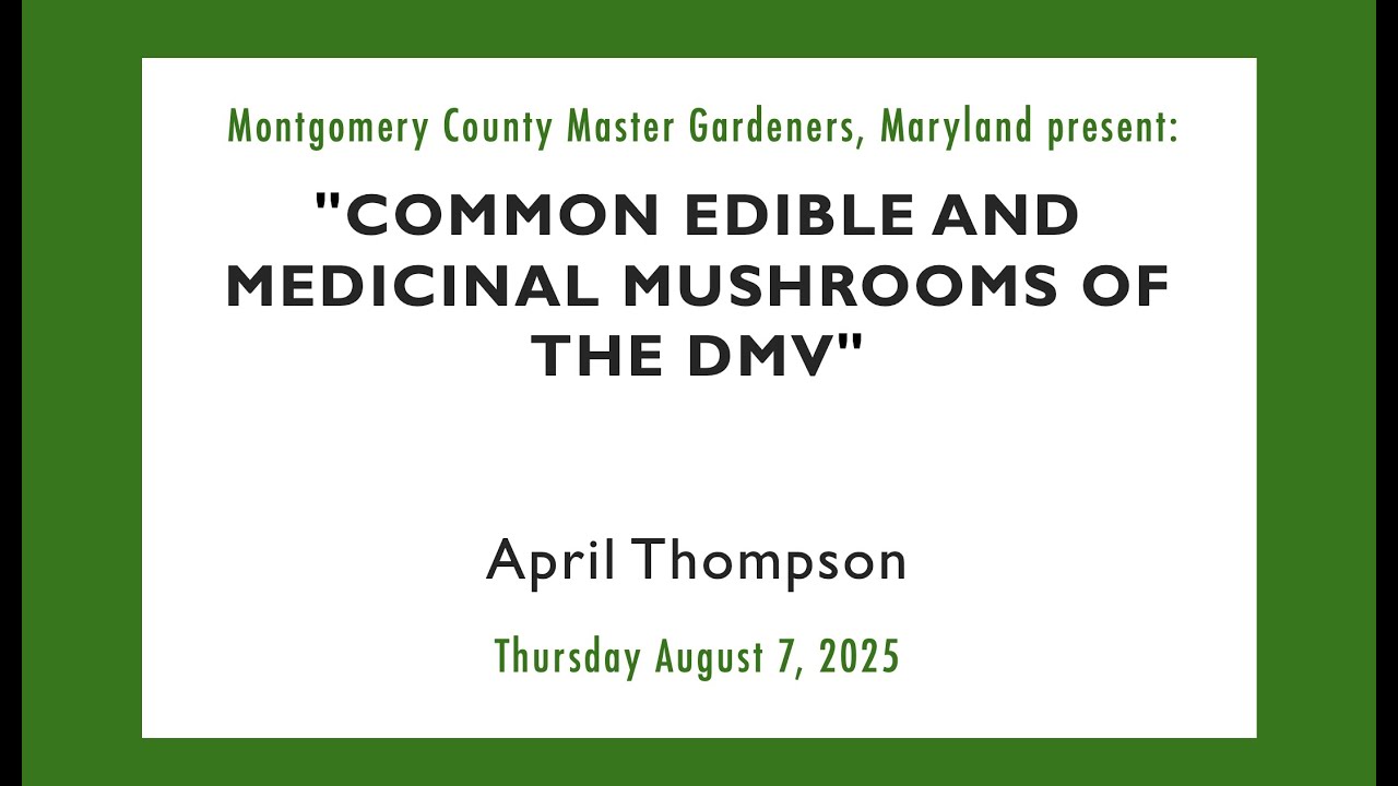 MCMG Presentation Aug 2025