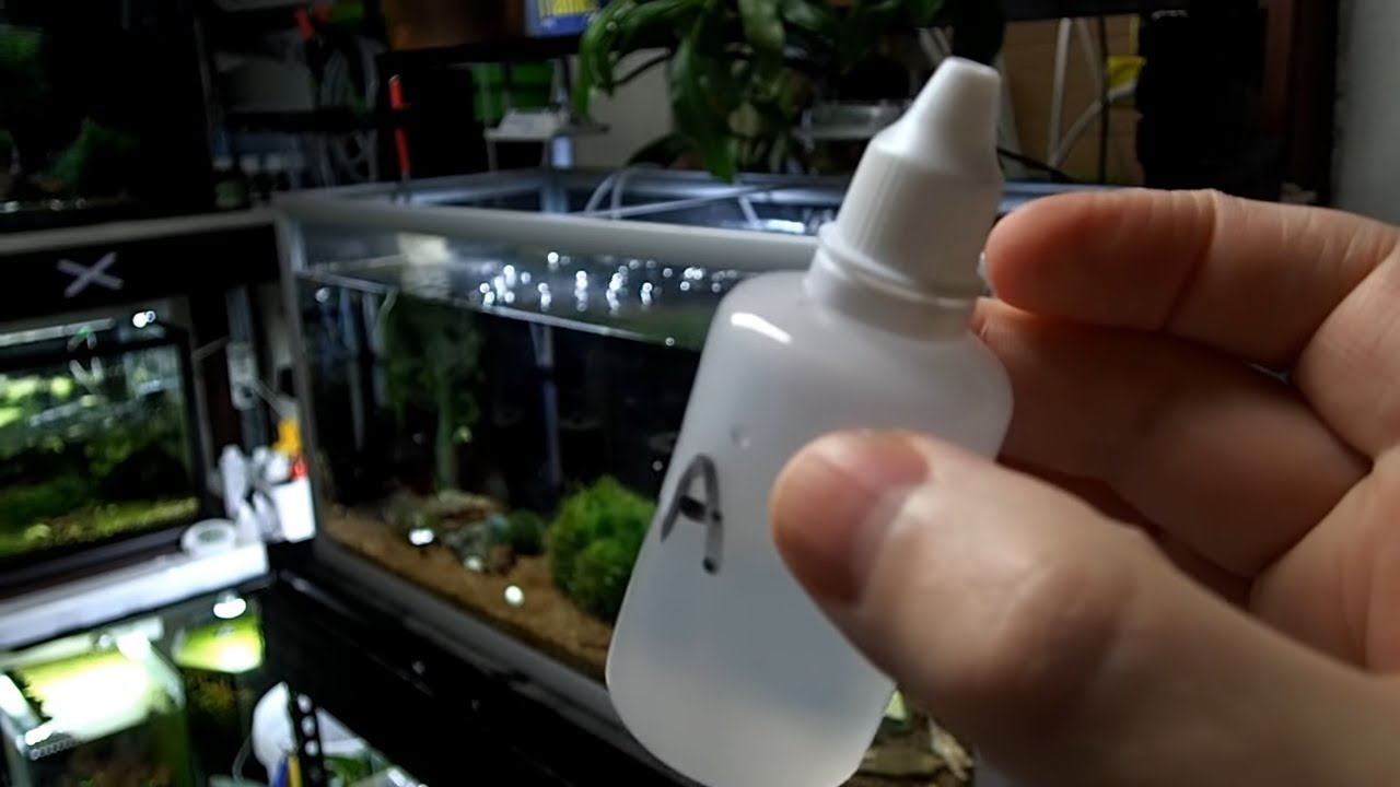 How To Treat Red-Headed Shrimp Disease (Vibrio Infection) - Proven Methods!