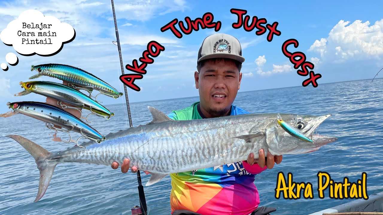 Akra Tune | Just Cast ( Pintail ) Penerangan Serba Sedikit