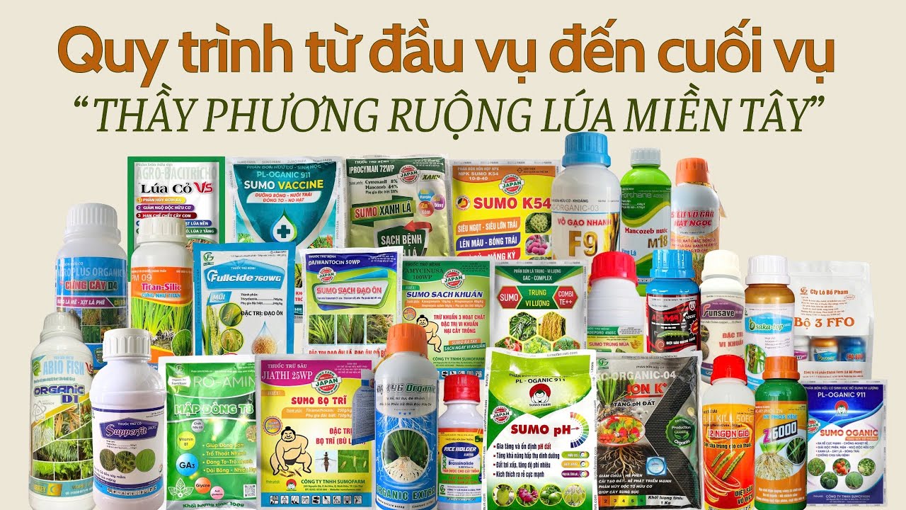 Sumo PH ,Ion K+ ,Qui trình ruộng lúa Miền Tây