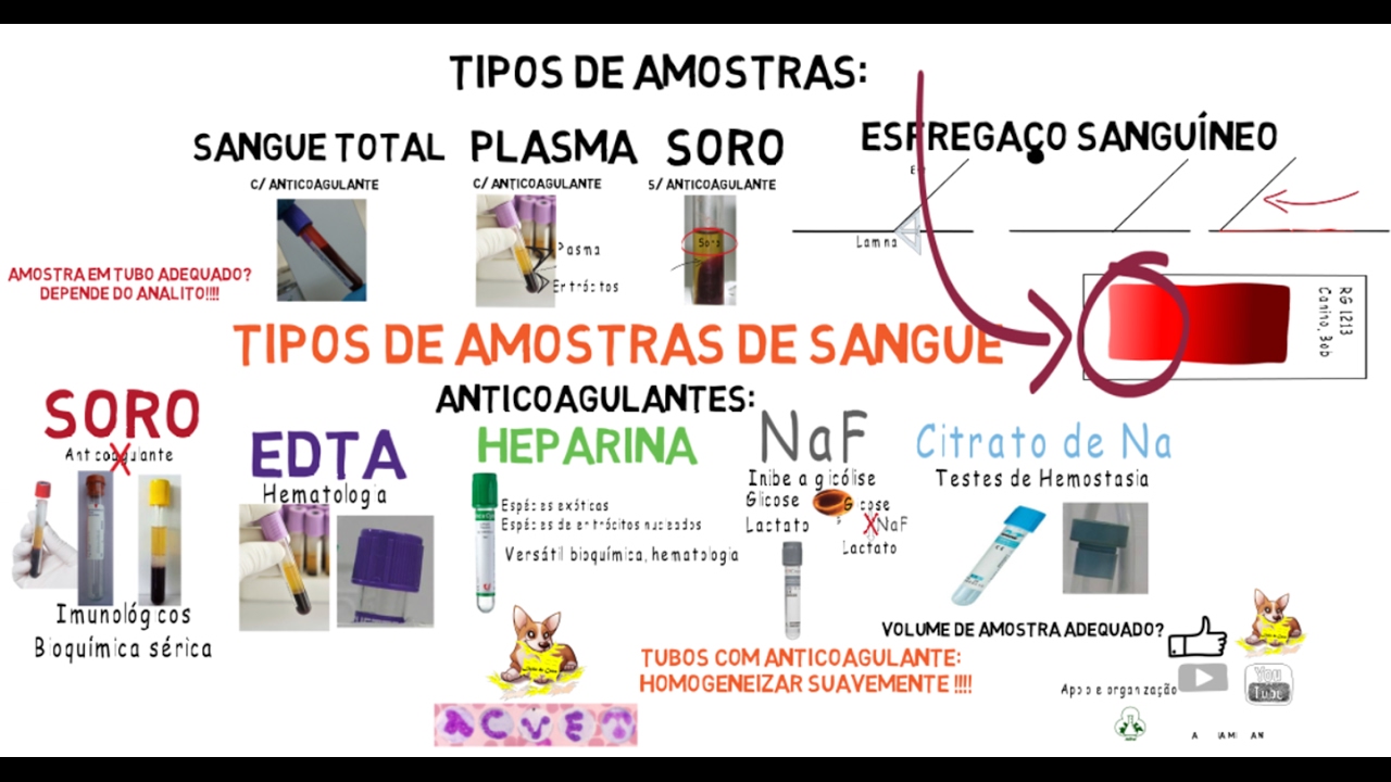Amostras de sangue: Tubos e Anticoagulantes