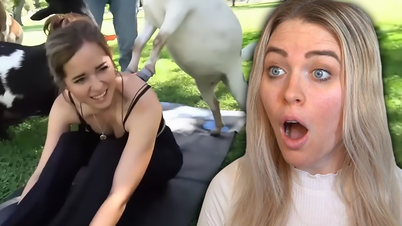 These Animals Hate Maya