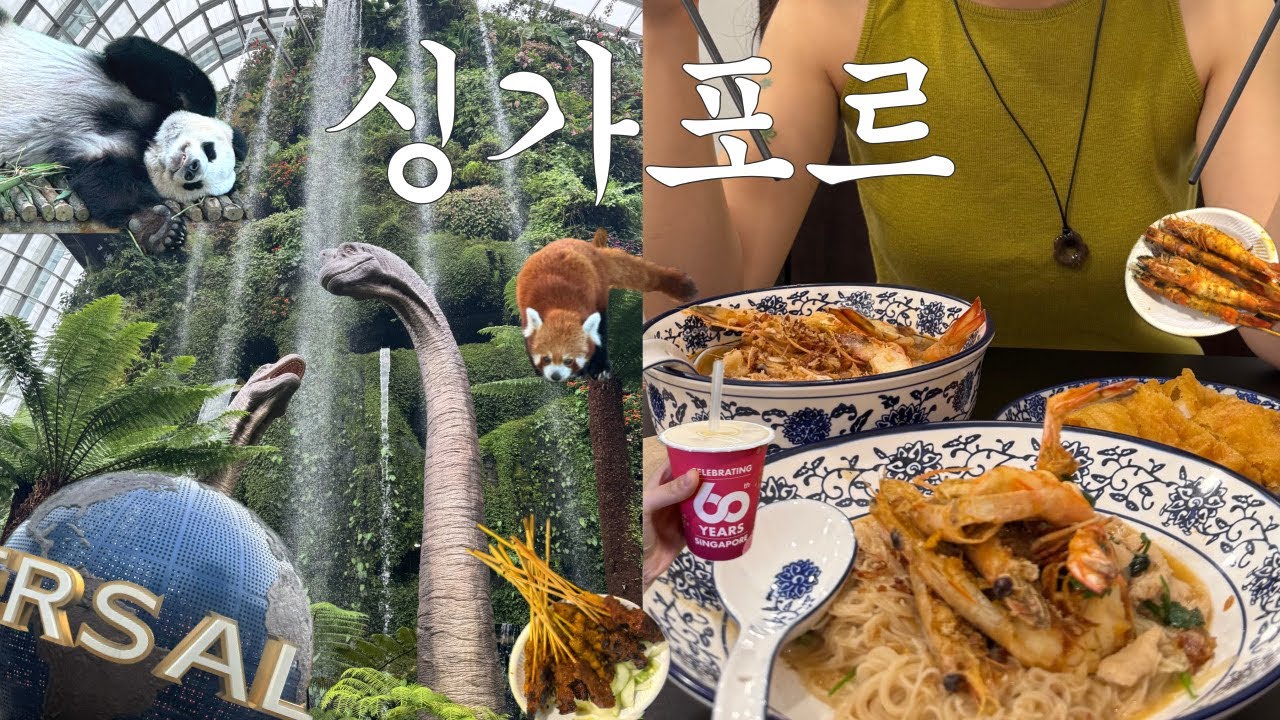 3박 5일 싱가포르 여행 브이로그 | 이 영상을 본 당신은 싱가포르에 가고 싶어집니다 | 맛집 추천 먹방 | 유니버셜 스튜디오 | 리버 원더스 | 호텔 추천