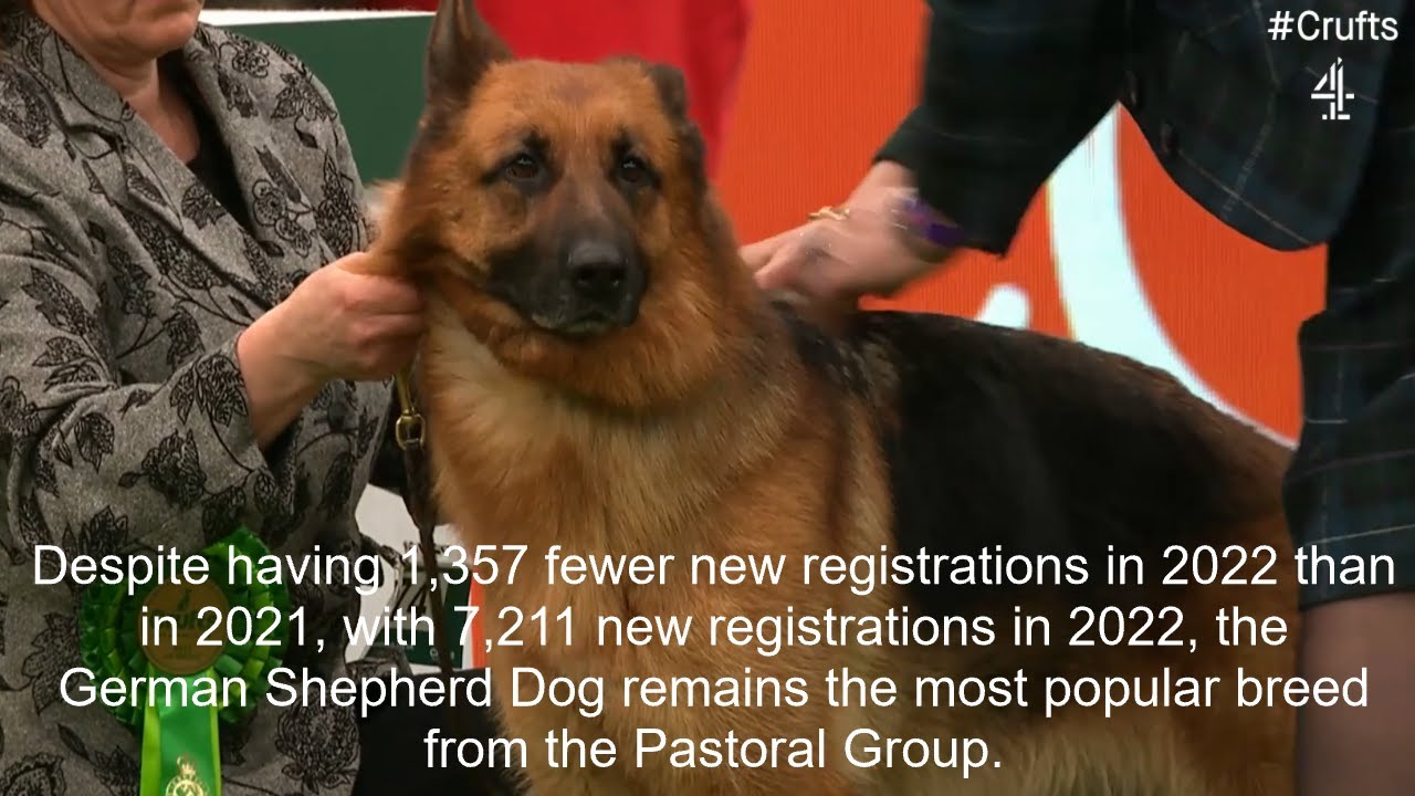 2022's New Registration Numbers - Pastoral Group