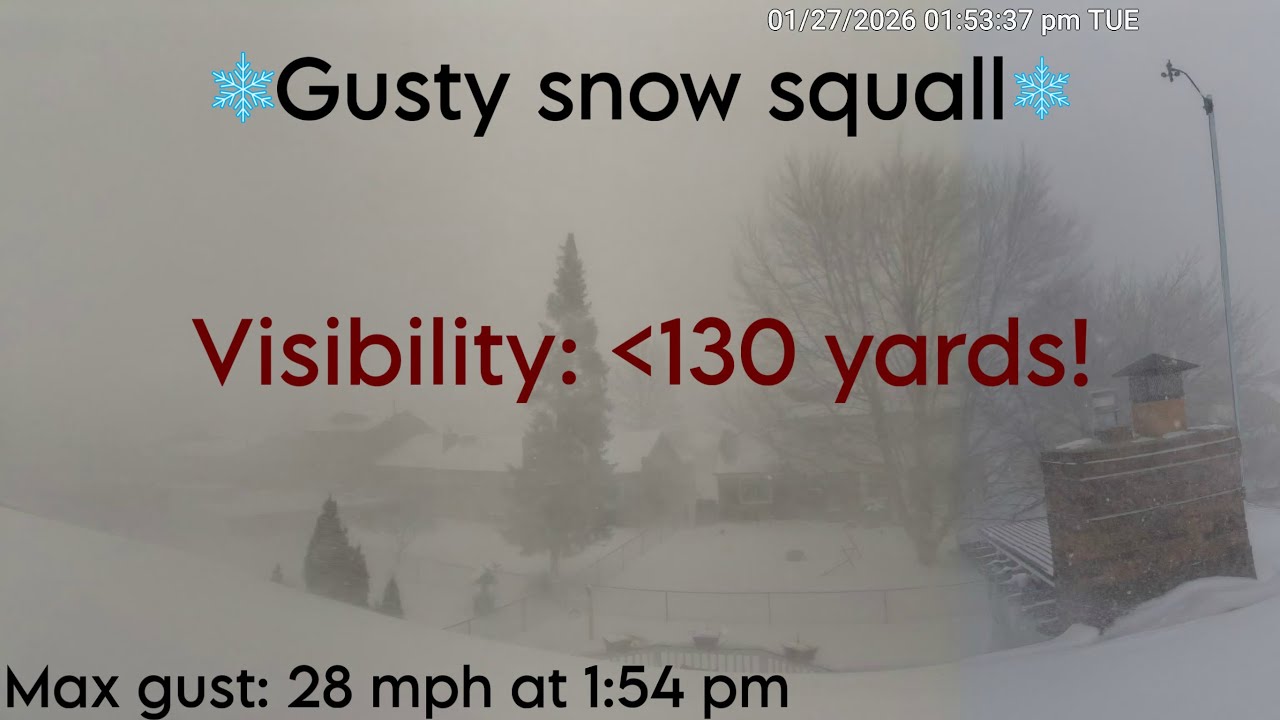 Sudden snow squall Macomb Township 1-27-26 (visibility less than 130 yds)