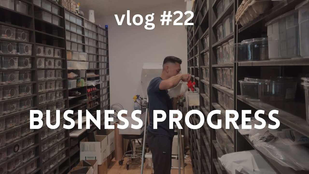 Business Progress | Vlog #22 of Zero's Geckos