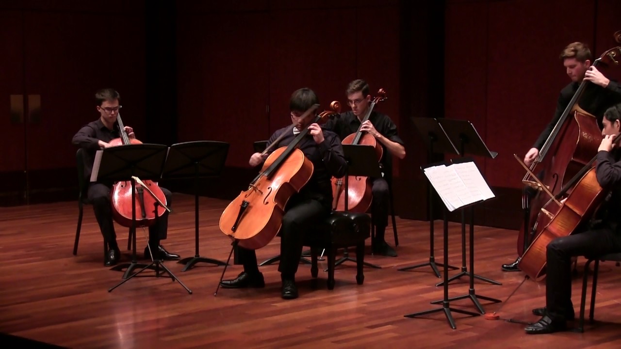 J. Haydn Cello Concerto in C Major, Hob. VIIb:1 (9/29 2016)