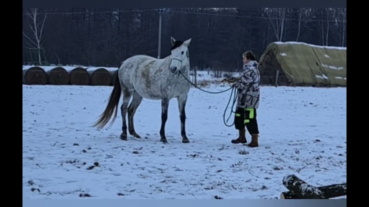 W - nowá překážka