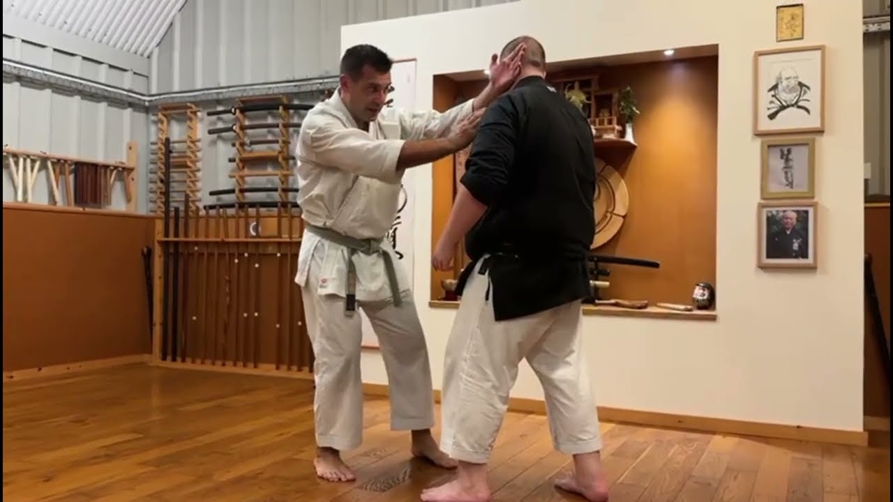 The Kyudokan Seminar 2023 ONE MINUTE HIGHLIGHT - Tomari-te skills, Naihanchi kata and oyo waza