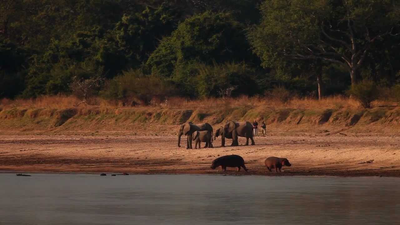 Robin Pope Safaris | Luangwa Bush Camping | Safari Zambia | South Luangwa