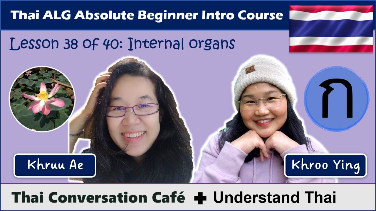 Internal organs (Thai Conversation Café ft. Understand Thai: Absolute Beginner Intro Course)