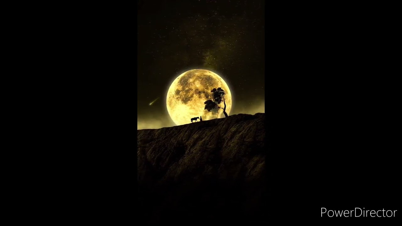 WITUŚ - NA OPAK ( prod. Wituś)