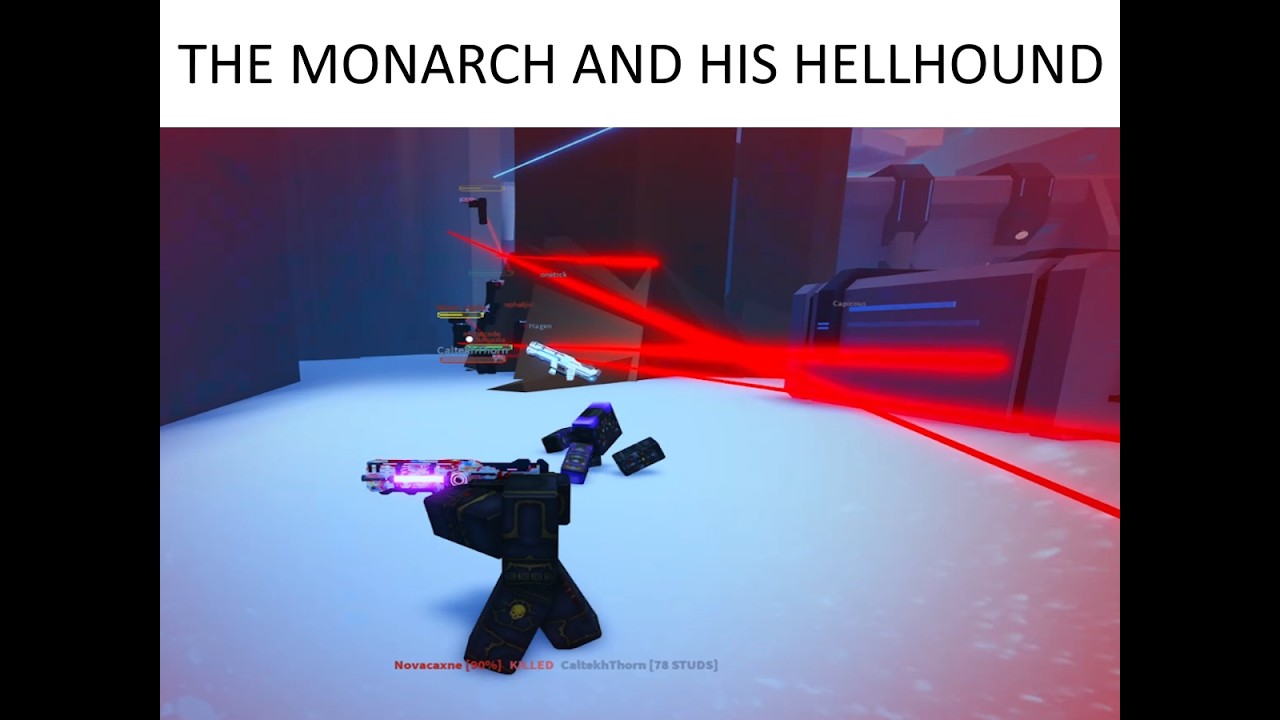 Monarch Montage: THATS MY MONARCH!