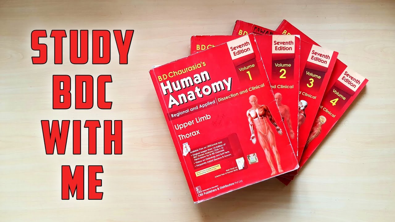 Best Way to Study BDC | Anatomy