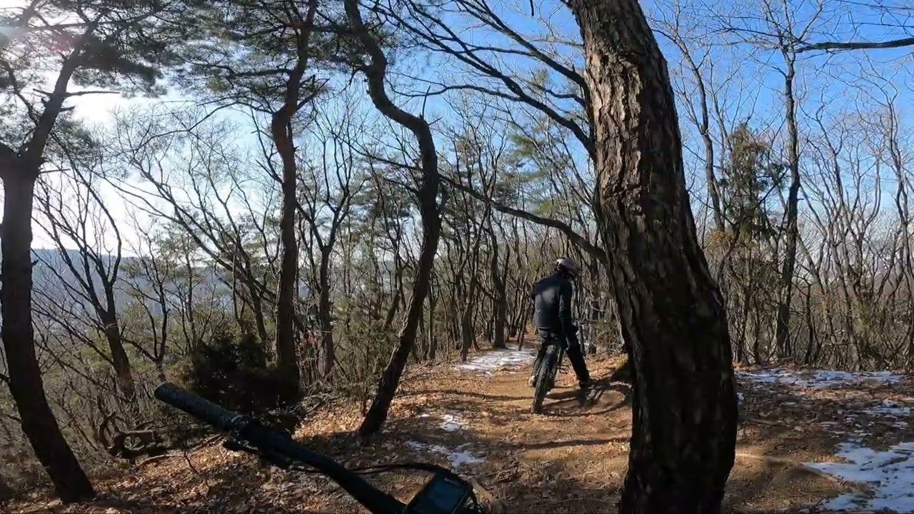 26.01.25  올라다운~  #드래곤 나인