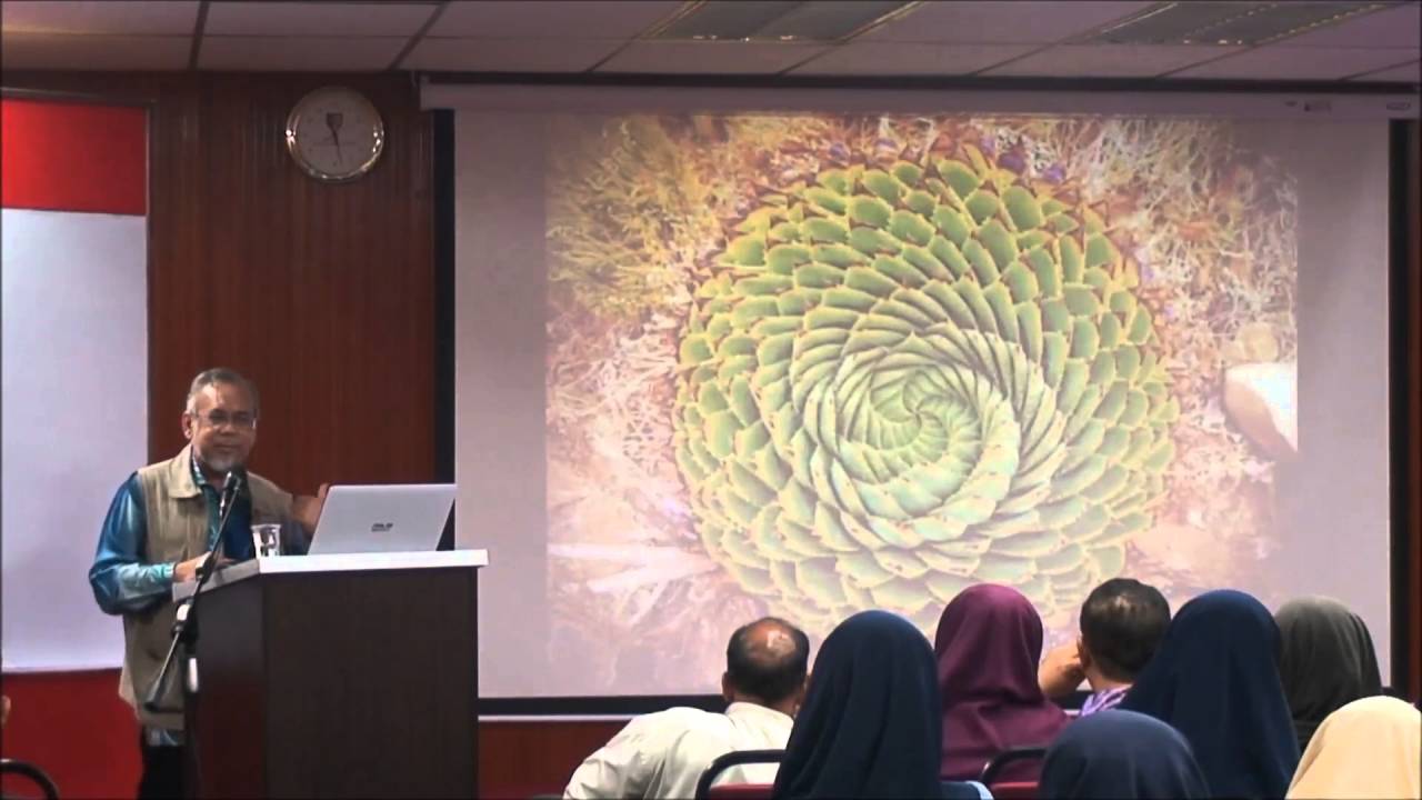 Ajaibnya Matematik- Prof Madya Dr Mat Rofa INSPEM UPM