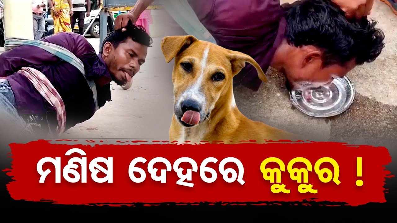 ମଣିଷ ଦେହରେ କୁକୁର ! | Man behaves like dog after dog bite | Rabies Patient |Odisha Reporter