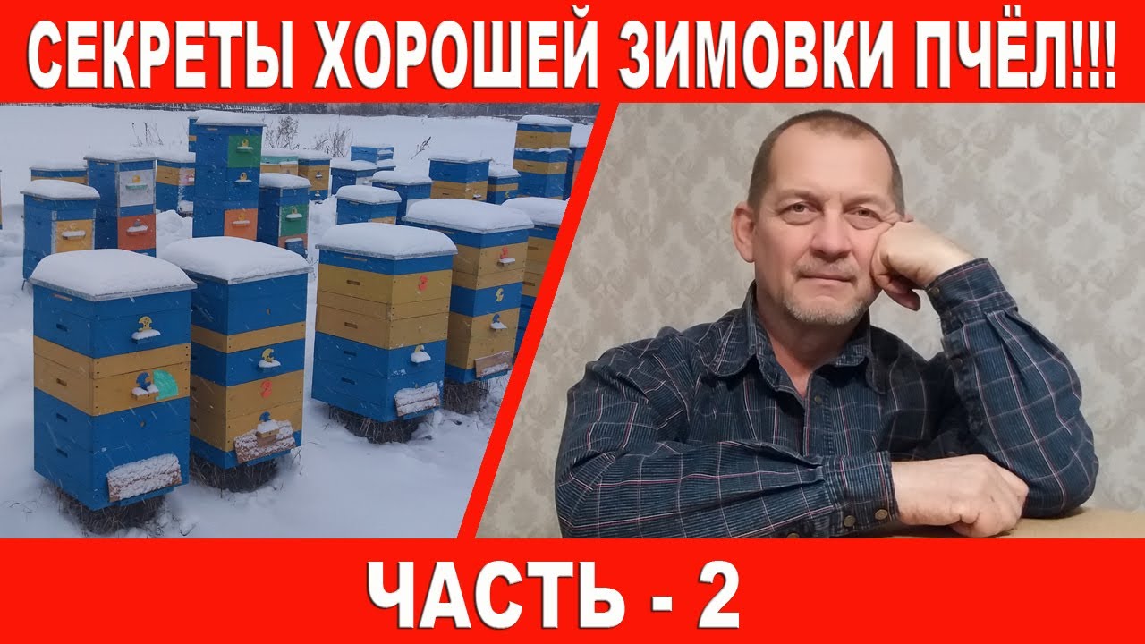 Секреты хорошей зимовки пчёл | Часть 2