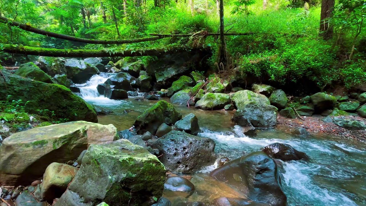 Hypnotize Yourself into DEEP SLEEP with Water Sounds - 10 HRS ASMR