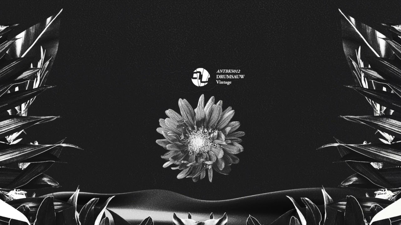 Drumsauw - Mission
