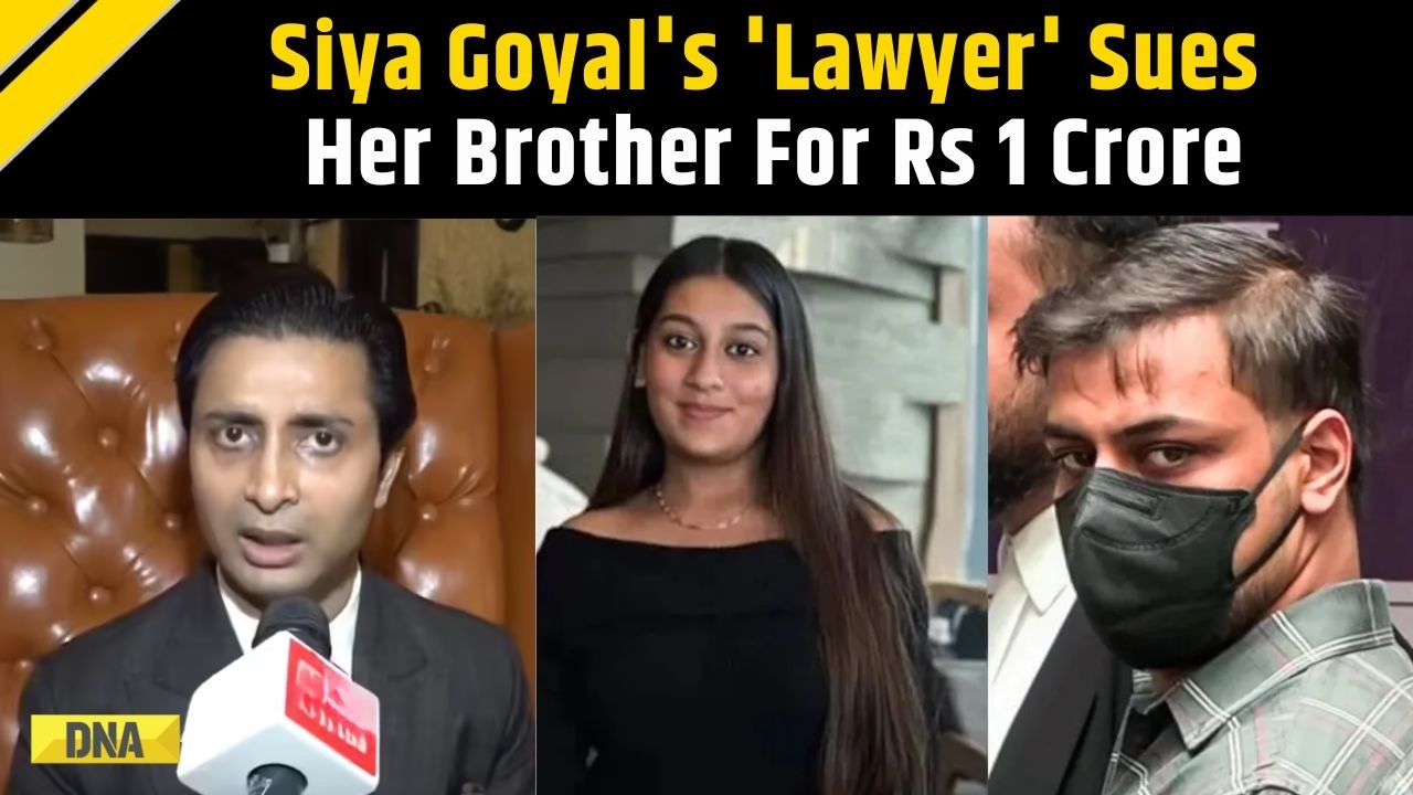 Ketan Agarwal Case: Siya Goyal's 'Lawyer' Sues Her Brother For Rs 10 Crore Over Defamation