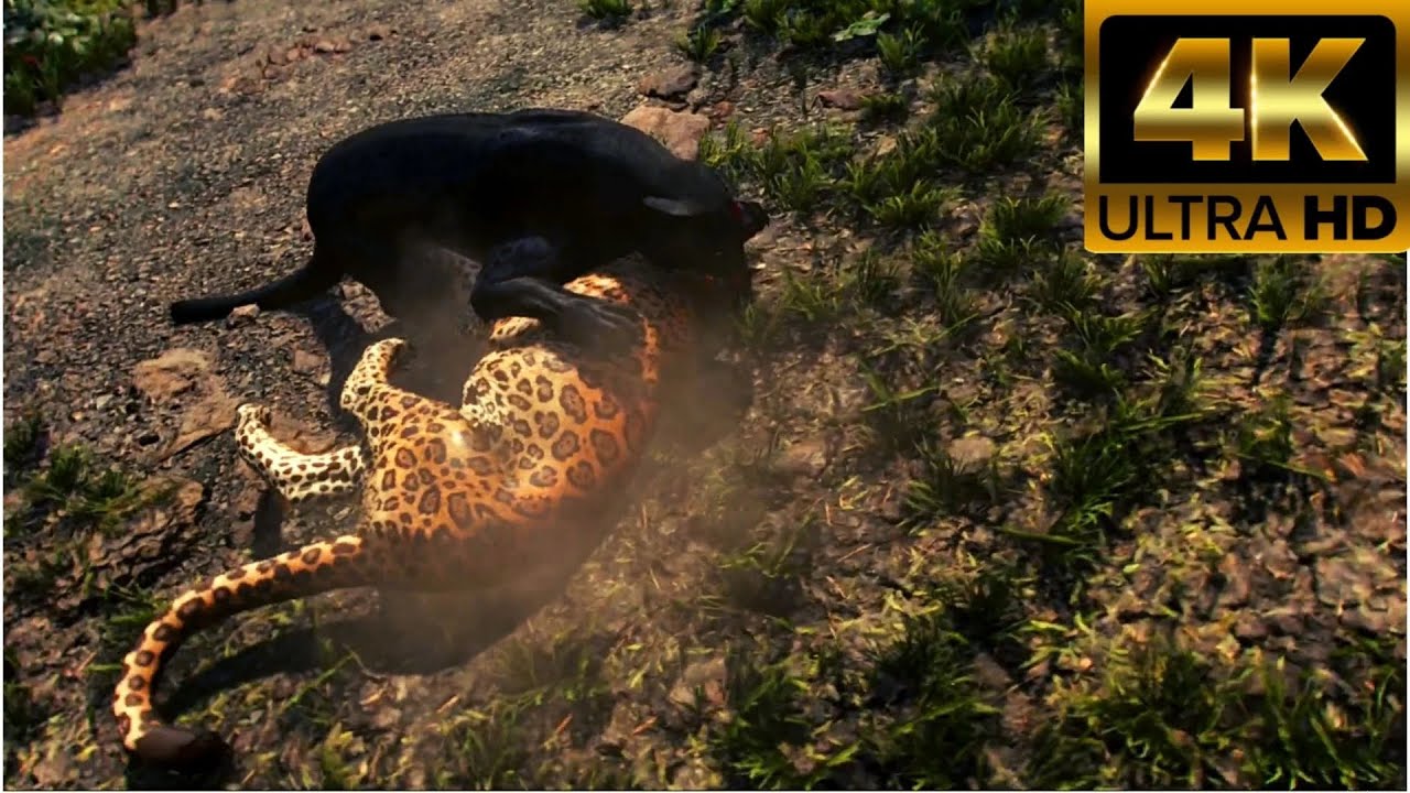 Far Cry 6 Animals Fight Animations