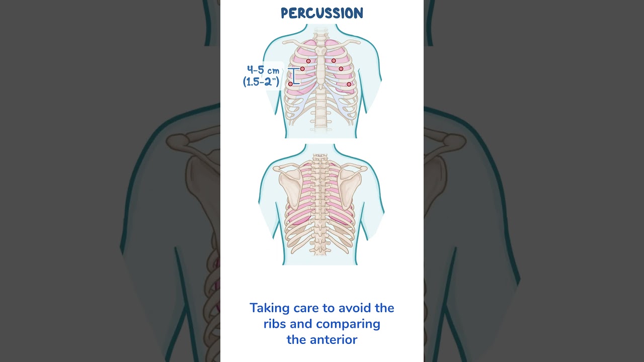 Assessment Clips: Assessment of the thorax and lungs