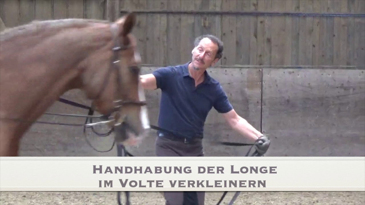 Erste Doppellonge mit Priska