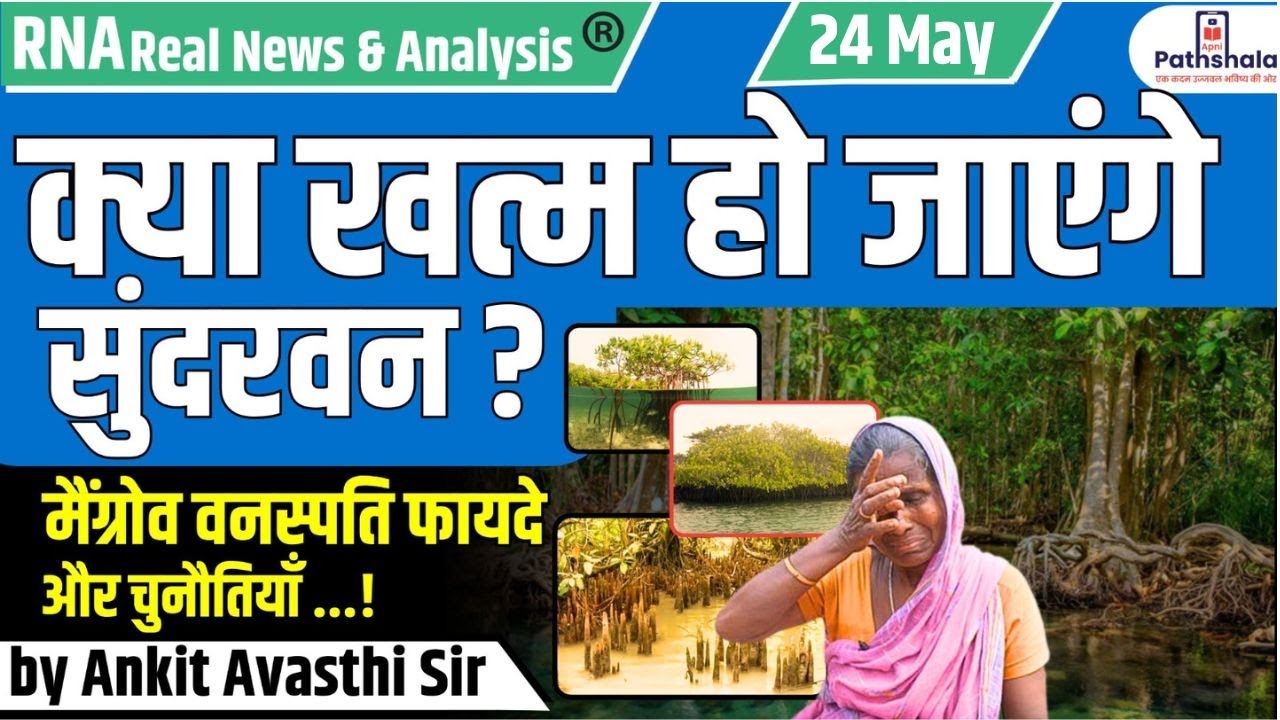 क्या खत्म हो जाएंगे सुंदरवन ? मैंग्रोव वनस्पति फायदे और चुनौतियाँ...!! by Ankit Avasthi Sir