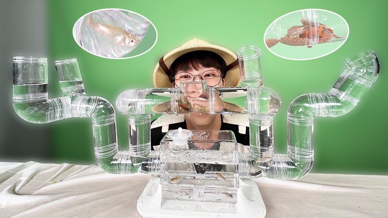 미로수조 만들기 도전!