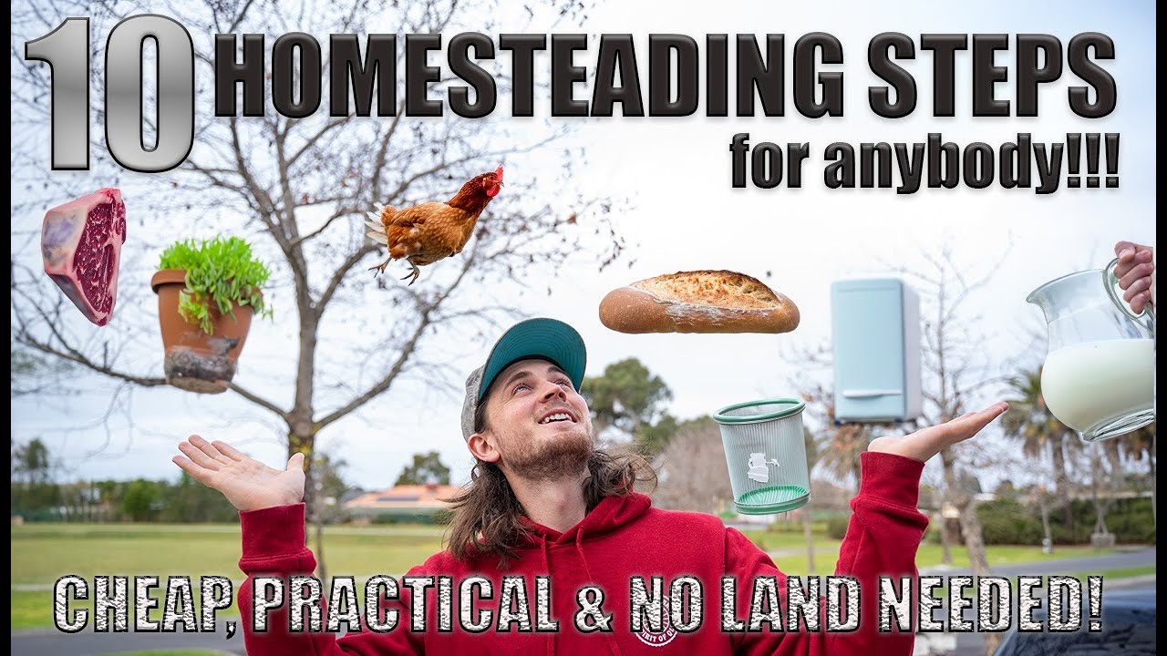 Start Homesteading TODAY | 10 things YOU CAN DO RIGHT NOW
