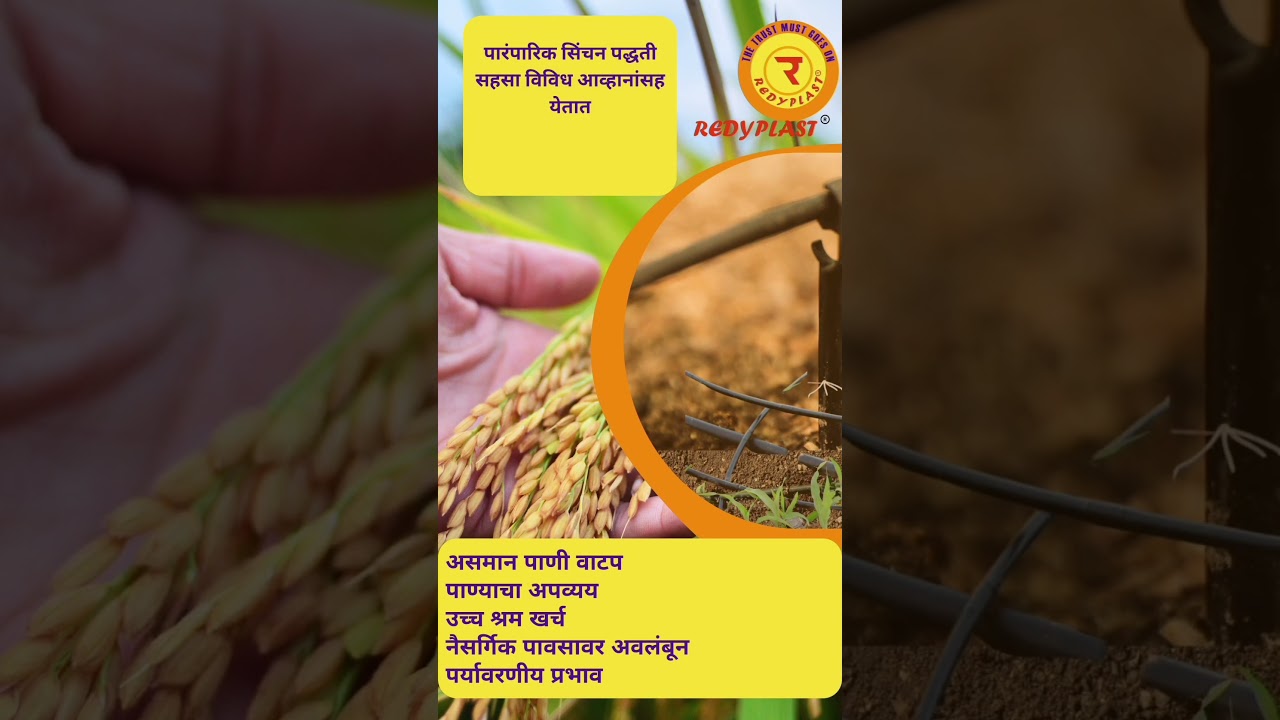 REDYPLAST | DRIP IRRIGATION SYSTEM | GARDEN PIPE | LAPETA PIPE | RAIN & SPRINKLER  IRRIGATION SYSTEM