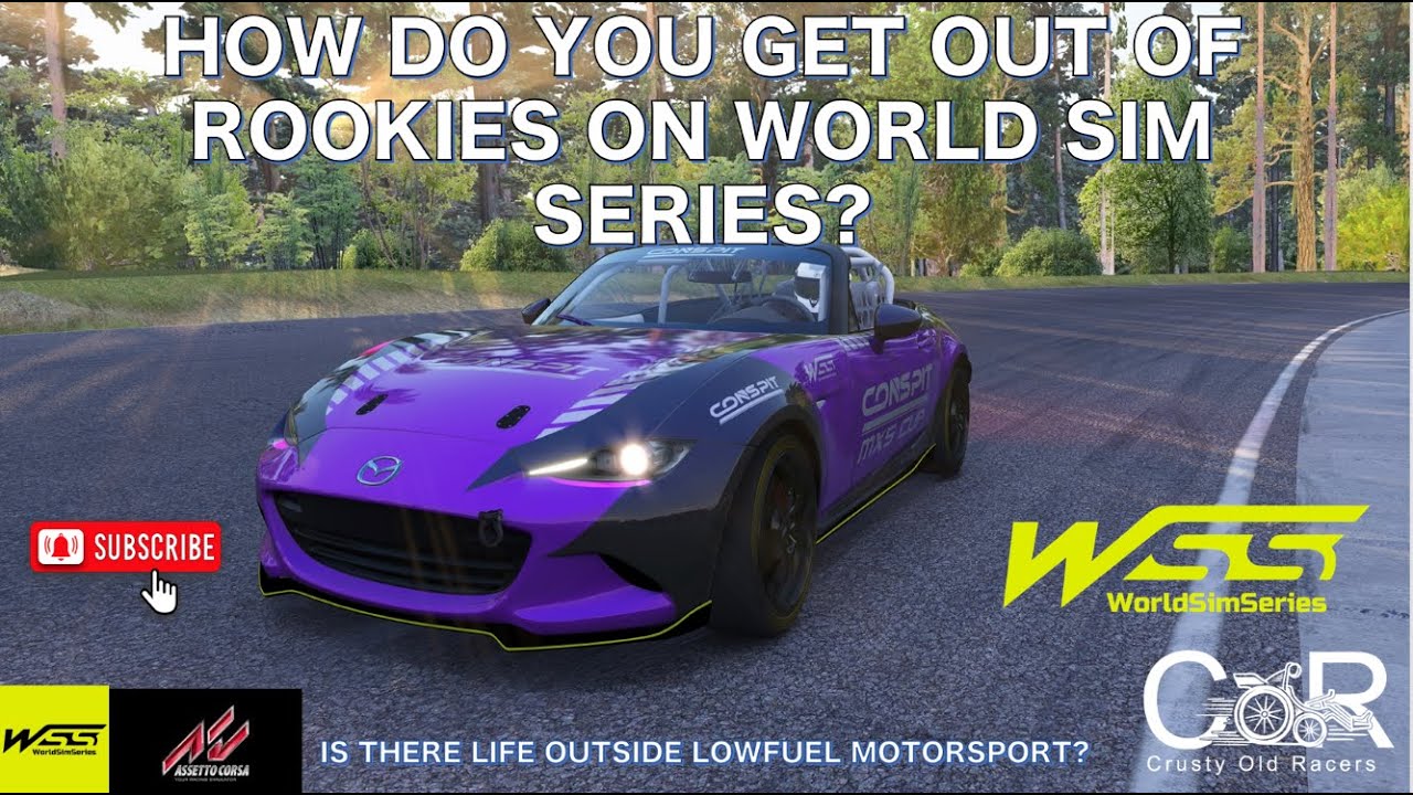 World Sim Series - Is There Life Outside Lowfuel Motorsport?