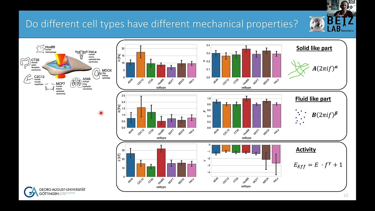 Timo Betz - Inferring intracellular mechanics from active and passive measurements