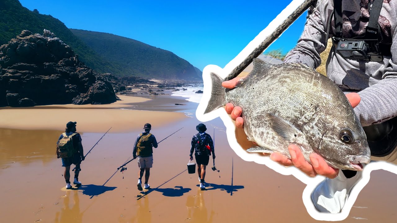 Targeting Galjoen(National Fish) in the Garden Route. #fishing #Galjoen #hartenbos #gardenroute