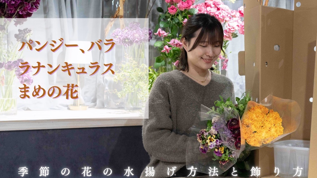 季節の花の水揚げ方法と飾り方　パンジー、バラ、ラナンキュラス、まめの花　1/31　2/3