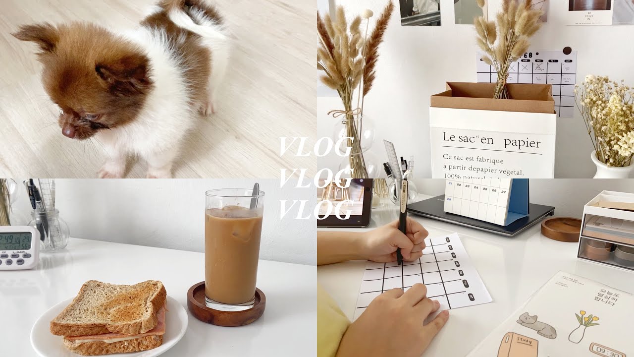 weekly vlog 🌤 • new puppy, dried flower arrangement, ipad accessories
