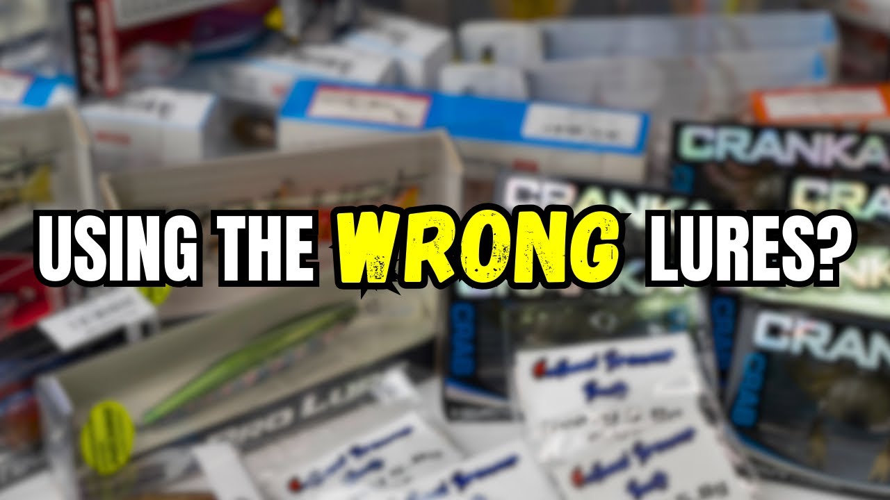 5 MUST HAVE Hard body lures for Bream