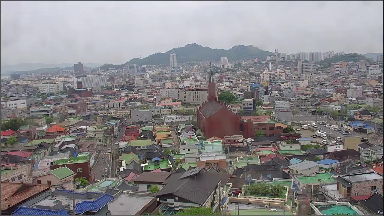 목포시립도서관님의 실시간 스트림