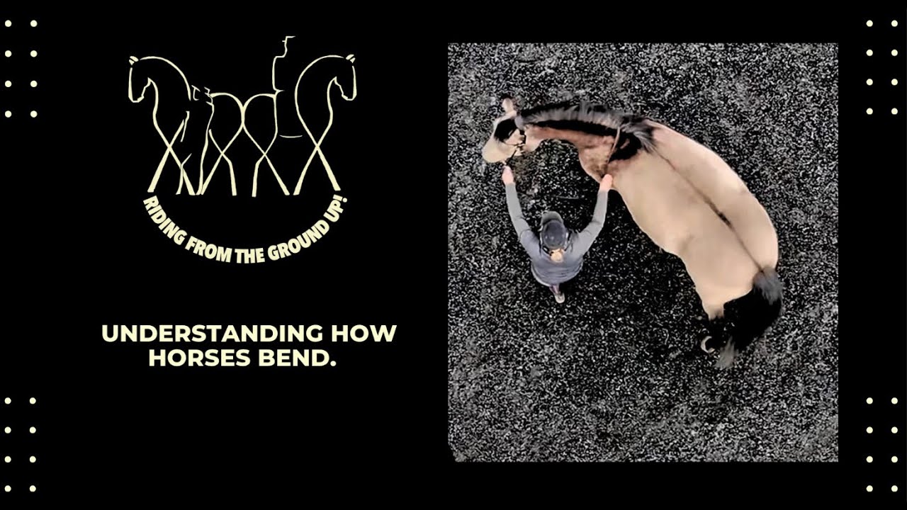 True Bend in The Horse: The Official System Compared to Lègéreté.
