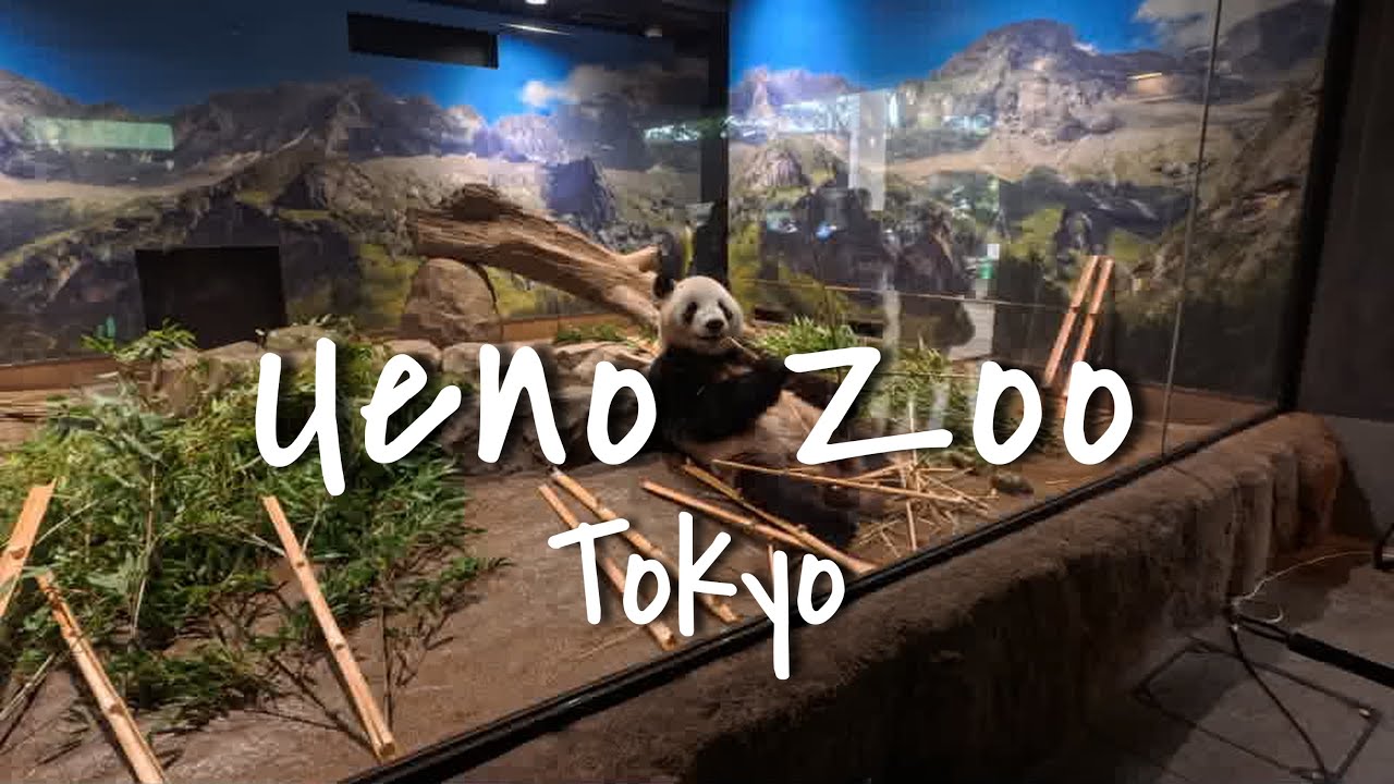Ueno Zoo | Tokyo | Japan
