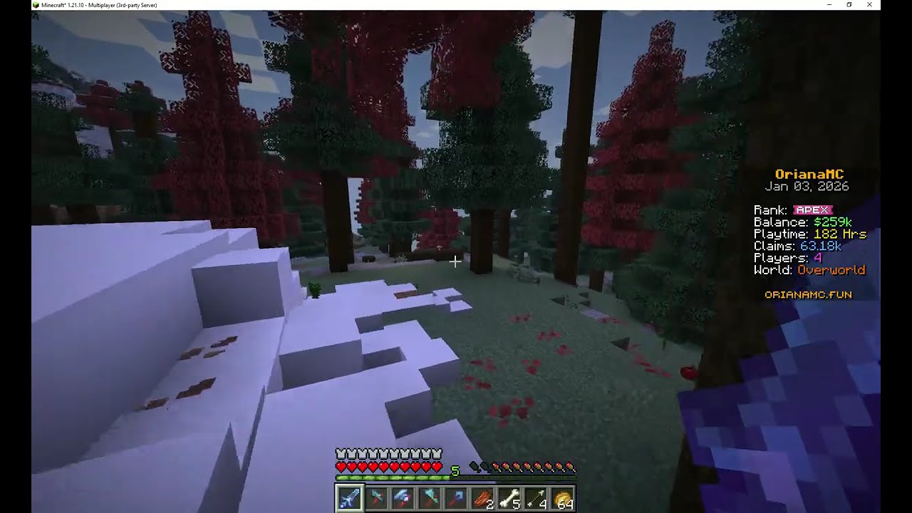 Trip to The Town In Minecraft | No Cut Scene | Cozy