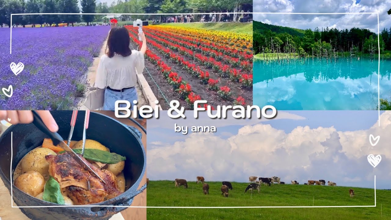 【Biei Furano vlog】新婚旅行で夢だった美瑛、富良野を満喫する社会人|ファーム富田|ラベンダーソフト|青い池|白ひげの滝|四季彩の丘|美瑛ファーム|ランドスケープ富良野|サンタのヒゲ
