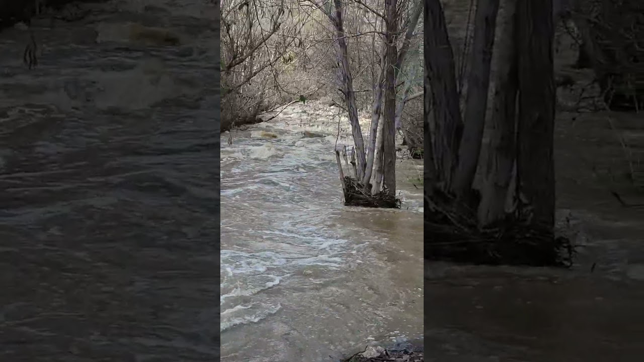 rancho ibarra