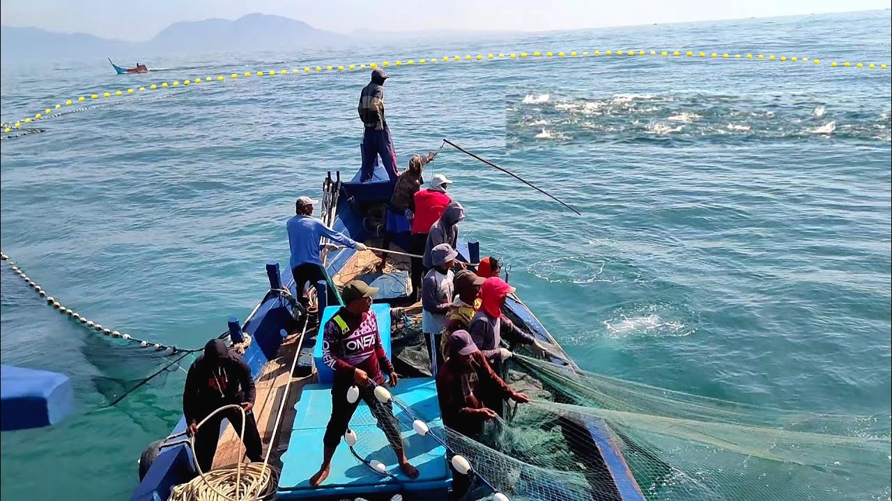 Pukat cincin, Nelayan Indonesia Dapat Banyak Ikan, luar biasa hasil tangkapan nelayan Indonesia