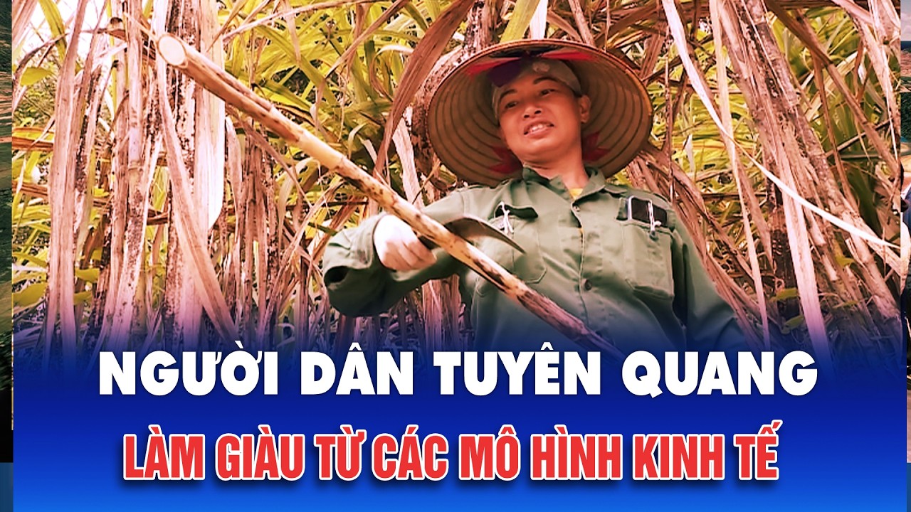 Người dân Tuyên Quang làm giàu từ các mô hình kinh tế