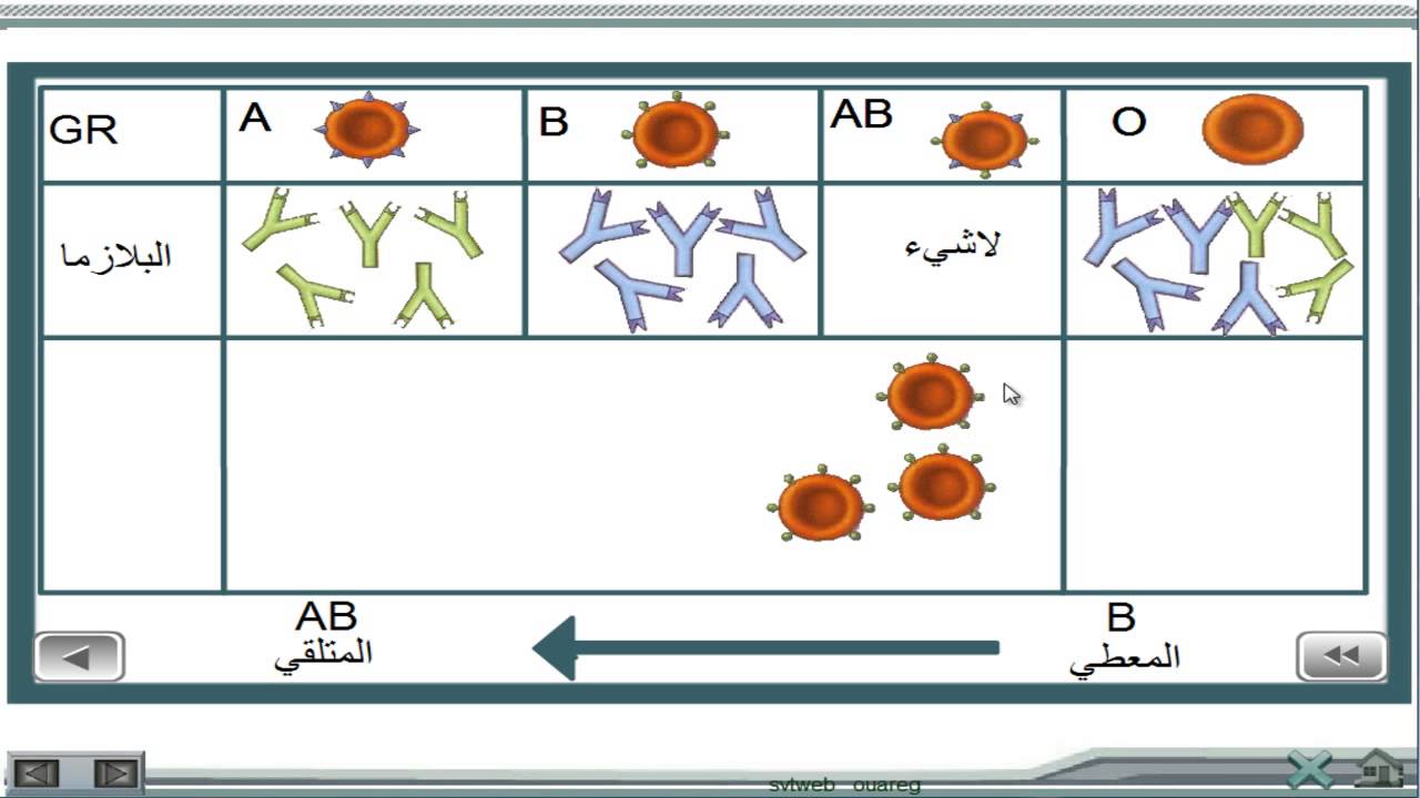 الفصائل الدموية