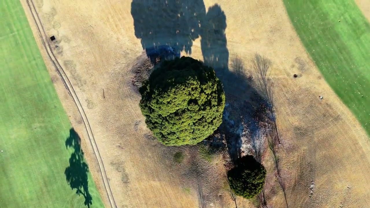 Chikushigaoka Golf Club / 筑紫ヶ丘ゴルフクラブ / 筑紫丘高爾夫球場